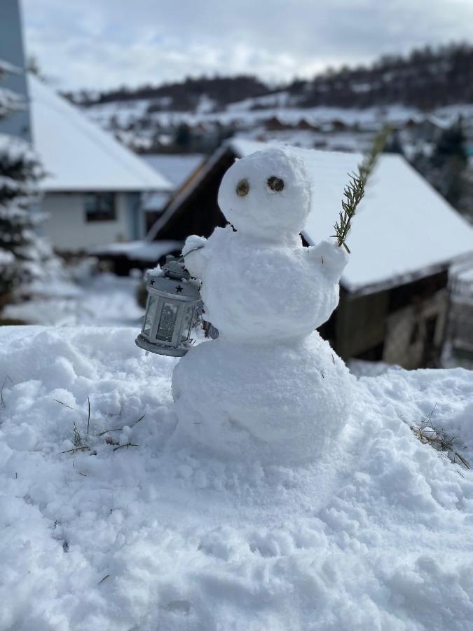 Domcek V Strani Villa Myto pod Dumbierom Luaran gambar